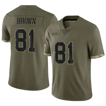 Nike Antonio Brown Men's Limited Tampa Bay Buccaneers Olive 2022 Salute To Service Jersey