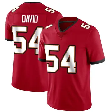 Nike Lavonte David Men's Limited Tampa Bay Buccaneers Red Team Color Vapor Untouchable Jersey